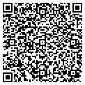 QR code with Pilot contacts