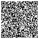 QR code with Steiner & Ellis Pllc contacts
