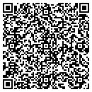 QR code with Pulaski Dental Lab contacts