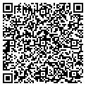 QR code with Ingles contacts