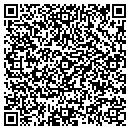 QR code with Consilience Group contacts