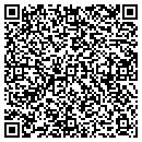 QR code with Carrier CPA Firm Pllc contacts