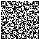 QR code with Cupids Wisdom contacts