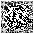 QR code with Brink Electronics Service contacts