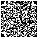 QR code with Pro Systems contacts