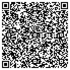 QR code with Pulsecom Communications contacts