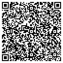 QR code with Pruitts Servicenter contacts