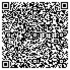 QR code with Public-I Productions contacts