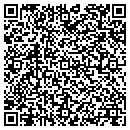 QR code with Carl Storey Co contacts
