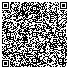 QR code with Pulaski Street Department contacts