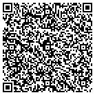 QR code with Bdt Development & MGT LLC contacts