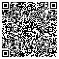 QR code with Bugman contacts