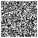 QR code with Cobra Systems contacts