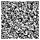 QR code with Cook Bookkeeping Srv contacts