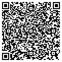 QR code with Delphi contacts