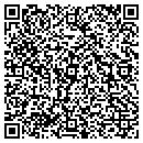 QR code with Cindy S Lawn Service contacts