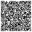 QR code with Professional Analysis contacts