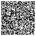 QR code with Pilot contacts