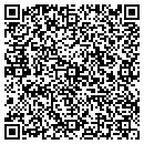 QR code with Chemical Laboratory contacts