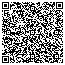 QR code with Central Nails & More contacts