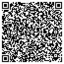 QR code with Pulse Backhoe & Dozer contacts