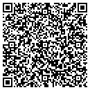 QR code with C J's Barbecue & Fish contacts