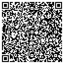 QR code with Pulse Power Systems contacts