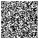 QR code with Pubs Hub contacts