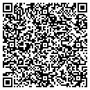 QR code with Premier Painting contacts