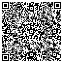 QR code with Carl S Auto Sales contacts