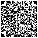 QR code with Pt Plus Inc contacts