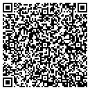 QR code with Castle Painting Inc contacts