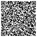 QR code with Proffitts 16 contacts
