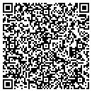 QR code with Problem Solvers contacts