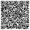 QR code with Singer contacts