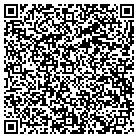 QR code with Pulaski Elementary School contacts