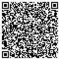 QR code with V-Tree contacts
