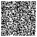 QR code with Pilot contacts