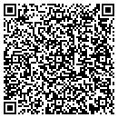 QR code with Blue Hawaiian Pools contacts