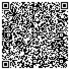 QR code with Pulau Electronics Corporation contacts