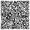 QR code with Cognisa Security Inc contacts