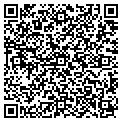 QR code with Signco contacts