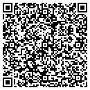 QR code with Professional Enterprise contacts