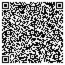 QR code with Primitivewoods contacts