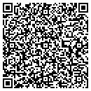 QR code with Puppy Trainer contacts