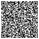 QR code with Pulaski Recorder contacts