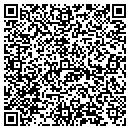 QR code with Precision Ibc Inc contacts