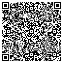 QR code with Pyles Paving Co contacts