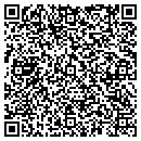 QR code with Cains Custom Flooring contacts