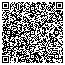 QR code with Pulaski Web Inc contacts